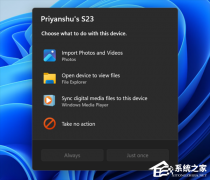 Win11 Beta/Experimental Ԥ�������ͣ������� AutoPlay �Ի���