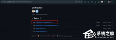 Win11 24H2/25H2 ����ǰ���� 26H2 �����¹��ܣ������÷�����