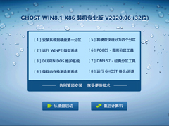 GHOST WIN8.1 X86 װרҵ V2020.06 (32λ)