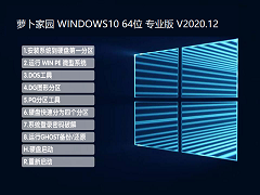 ܲ԰ WINDOWS10 64λרҵ V2020.12