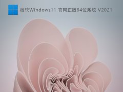 ΢Windows1164λϵͳ V2021