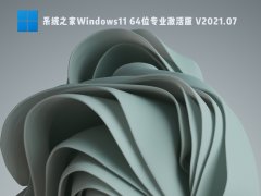 ϵͳ֮Windows11 64λרҵ V2021.07