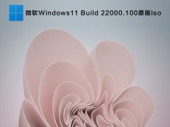 ΢Windows11 Build 22000.100ԭiso V2021.07