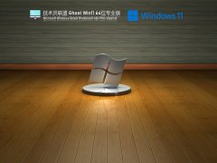 ����Ա����Ghost Win11 64λרҵ�� V2021.10