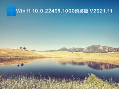 Win11 10.0.22499.1000Ԥ V2021.11