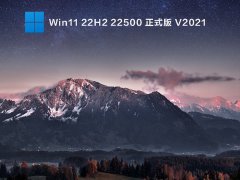 Win11 22H2 22500 ʽ V2021