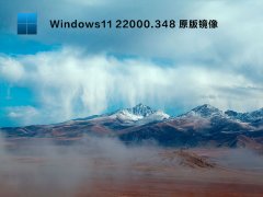 Windows11 22000.348 רҵ�澵�� V2021.11
