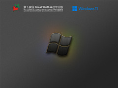 ܲ԰ Ghost Win11 64λ רҵ V2021.11