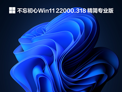 Windows11 22000.318 64λ�ĺ�һ�����