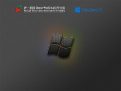 ܲ԰ Ghost Win10 64λ  V2021.12