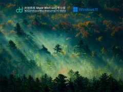 ϵͳ Ghost Win11 64λ רҵȶ V2021.12