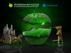 ƻϵͳ Ghost Win11 64 ʽ V2021.12