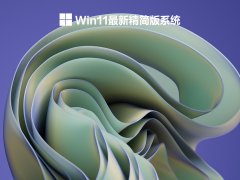 Win11¾ϵͳ V2021.12