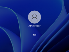 Win11 ARMʽ V2022.1
