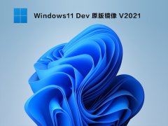 Win11 22H2 22543.1000ٷԭ V2022