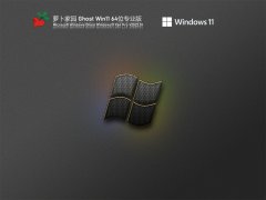 ܲ԰ Ghost Win11 64λ ⼤רҵ V2022.01