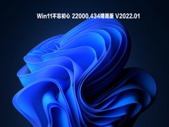 Win11 22000.434 V2022.01
