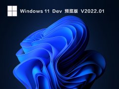 ΢Win11 22533 ٷԭ V2022.01