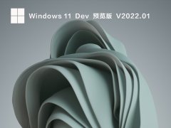 Win11 22533.1001 UUP V2022.01