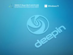 ȼ Ghost Win11 ٷרҵ V2022.01