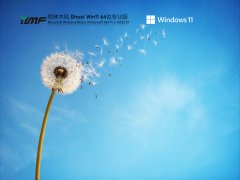 ľ Ghost Win11 ʽ V2022.01