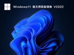 Win11 22543.1000 ٷԭ V2022