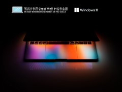 ʼǱר Ghost Win11 64λ Ӳ V2022.02