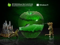 ƻϵͳ Ghost Win11 64λ  V2022.02