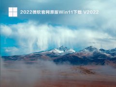 2022΢ԭWin11 V2022