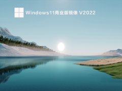 Windows11ҵ澵 V2022