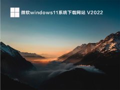 ΢windows11ϵͳվ V2022
