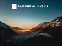 ΢ϵͳWin11 V2022