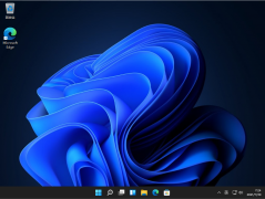 Win11ԭ2022ϵͳ V2022.03