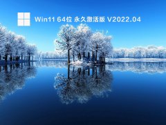 Win11 64λ ü V2022.04