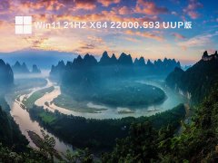 Win11 21H2 X64 22000.593 UUP V2022.04