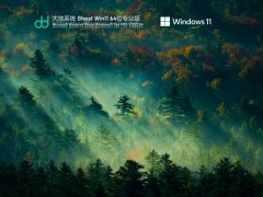 ϵͳ Ghost Win11 64λ רҵ V2022.04