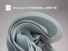 Windows11Ԥiso V22598.1