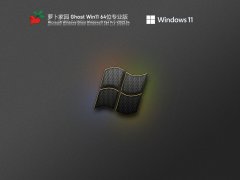 ܲ԰ Ghost Win11 64λ רҵ V2022.04