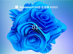 Windows11 22000.613 64λҵ V2022