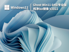 Ghost Win11 64位专业版纯净iso镜像 V2022