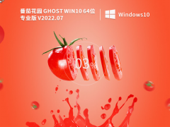 ѻ԰ Windows10 64λ רҵ