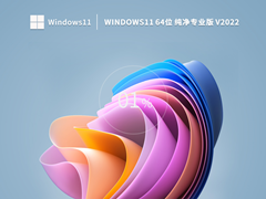 Windows11 21H2 64位 专业纯净版 V2022