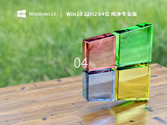 Win10 22H2 64λ רҵ V2022.10