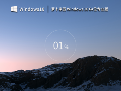 ܲ԰ Windows10 64λ רҵ棨һװV2023.03