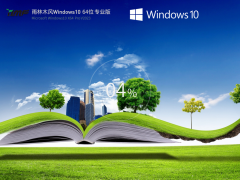 ľ Windows10 64λ רҵ V2023.04