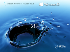 ȼ Windows10 64λ רҵ V2023.06