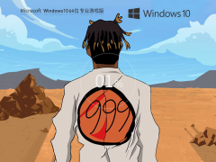 Windows10 22H2 19045.3086 X64 רҵϷ V2023.06