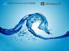 ȼ Windows10 64λ רҵ V2023