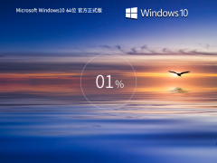 Win10 22H2 64λ ٷרҵ澵 V19045.3758