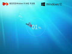 Ʒרѻ԰ Windows10 64λ רҵ